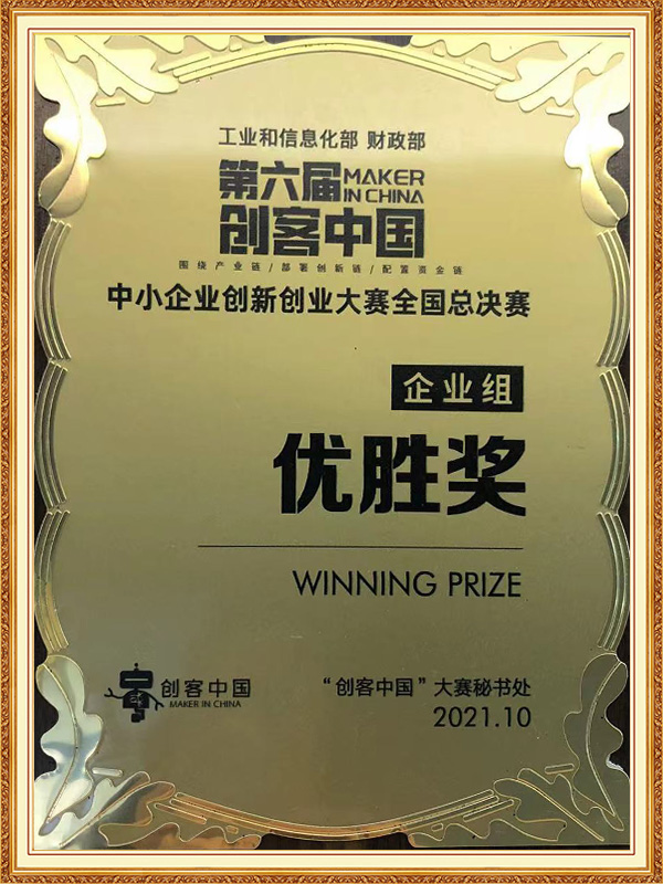 Maker China National Excellence Award